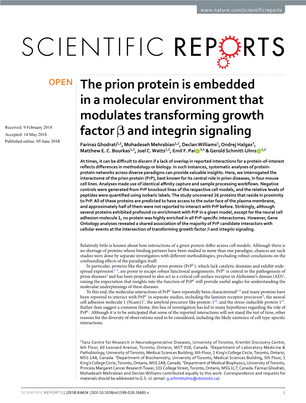 The Prion Protein Is Embedded in a Molecular Environment That