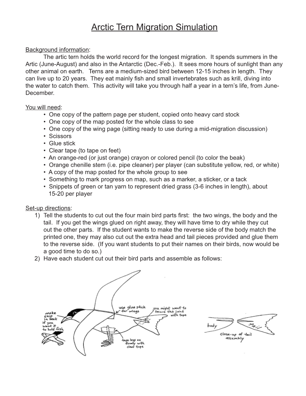 Arctic Tern Migration Simulation