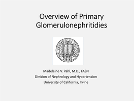 Overview of Primary Glomerulonephritidies