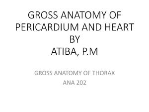 Gross Anatomy of Pericardium and Heart by Atiba, P.M