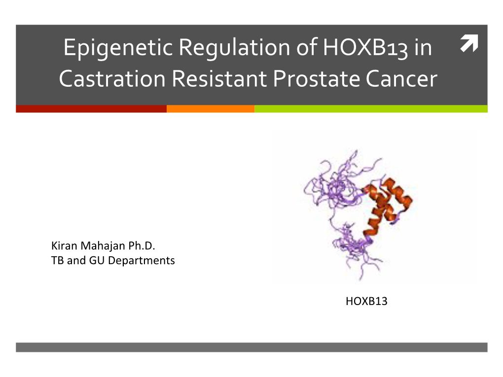 Epigenetic Regulation of HOXB13 in Castration