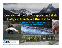Overview of the Key Fish Species and Their Biology in Himalayan Rivers in Nepal Tek Bahadur Gurung, Arun Baidya, Gopal Lamsal, Nita Pradhan