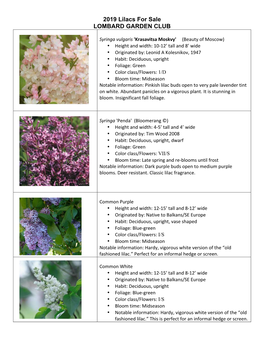 2019 Lilacs for Sale REVISED MM