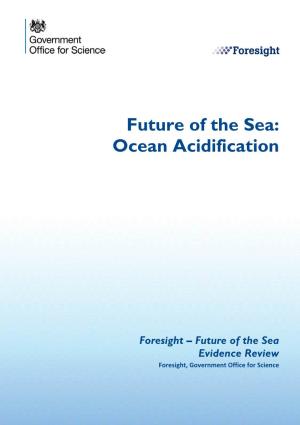 Future of the Sea: Ocean Acidification