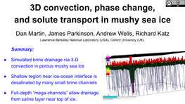 3D Convection, Phase Change, and Solute Transport in Mushy Sea Ice