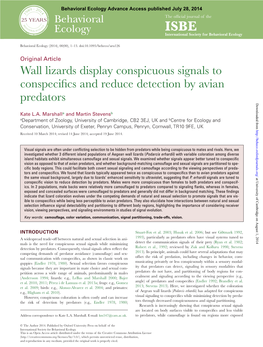 Wall Lizards Display Conspicuous Signals to Conspecifics and Reduce Detection by Avian Predators