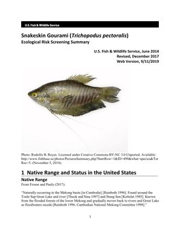 Snakeskin Gourami (Trichopodus Pectoralis) Ecological Risk Screening Summary