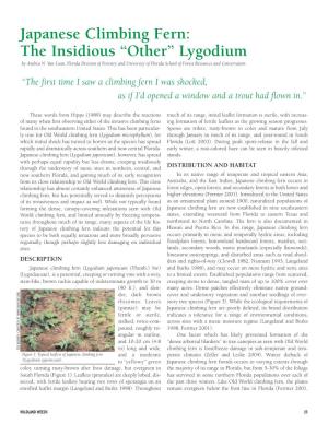 Japanese Climbing Fern: the Insidious “Other” Lygodium by Andrea N