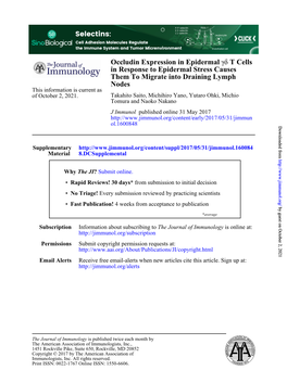 Occludin Expression in Epidermal