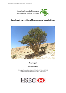 Sustainable Harvesting of Frankincense Trees in Oman
