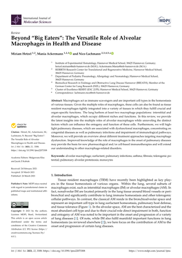 The Versatile Role of Alveolar Macrophages in Health and Disease