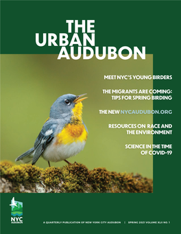 Urban the Audubon
