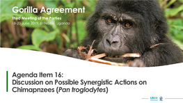 Pan Troglodytes) Third Meeting of the Parties Please See: 18-20 June 2019, Entebbe, Uganda UNEP/GA/MOP3/Doc.16 Background