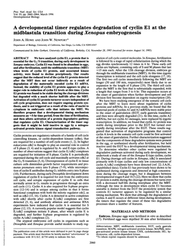 Midblastula Transition During Xenopus Embryogenesis JOHN A