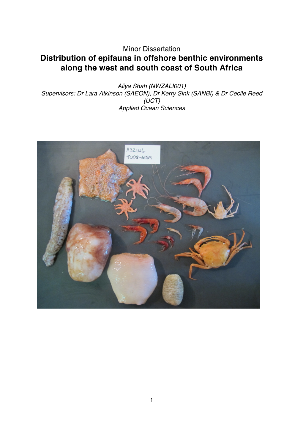 Benthic Environments Along the West and South Coast of South Africa