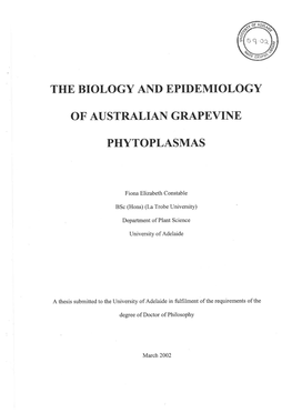 Biology and Epidemiology of Australian Grapevine Phytoplasmas