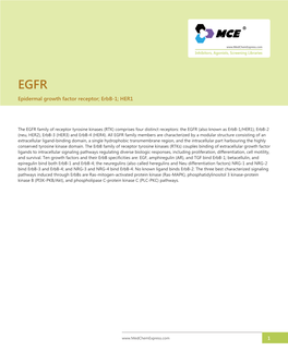 Epidermal Growth Factor Receptor; Erbb-1; HER1