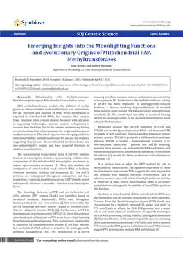 Emerging Insights Into the Moonlighting Functions And