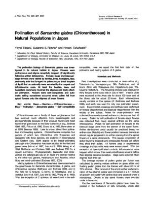 Pollination of Sarcandra Glabra (Chloranthaceae) in Natural Populations in Japan