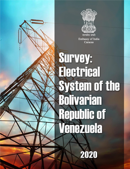 Electric System Through Concession Mechanisms to Carry out Core Activities of the Sector, Hand in Hand with CORPOELEC