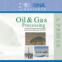 Oil and Gas Processing: a Primer I Acknowledgments and Disclaimer