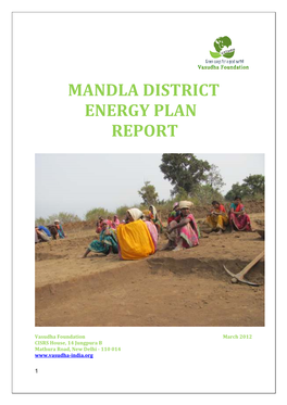 Mandla District Energy Plan Report