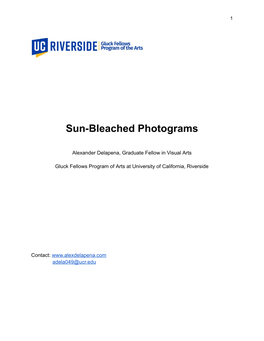 Sun-Bleached Photograms