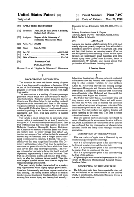 United States Patent (19) 11 Patent Number: Plant 7,197 Luby Et Al
