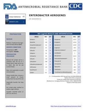Enterobacter Aerogenes Ar-Bank#0431