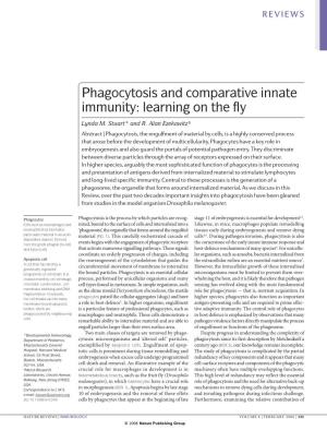 Phagocytosis and Comparative Innate Immunity: Learning on the Fly