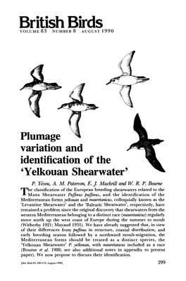 Plumage ^ Variation and Identification of the 'Yelkouan Shearwater5 P