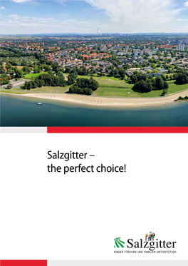 The Perfect Choice! Salzgitter – Salzgitter – Die Bunte Familienstadt a Town of Striking Variety
