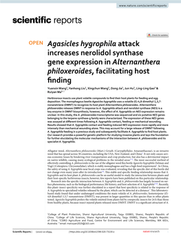 Agasicles Hygrophila Attack Increases Nerolidol Synthase Gene Expression in Alternanthera Philoxeroides, Facilitating Host Findi