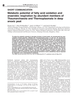 Metabolic Potential of Fatty Acid Oxidation and Anaerobic Respiration by Abundant Members of Thaumarchaeota and Thermoplasmata in Deep Anoxic Peat