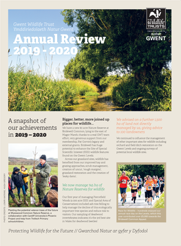 Annual Review 2019 - 2020 Annual Review 2019 - 2020