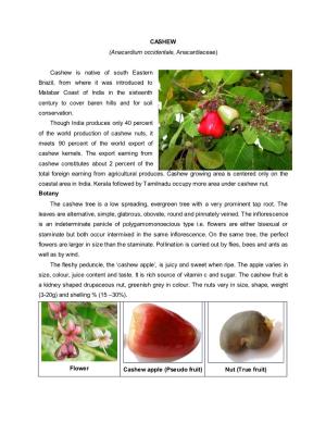 CASHEW (Anacardium Occidentale, Anacardiaceae) Cashew Is Native