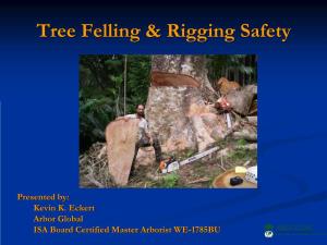 Tree Felling & Rigging Safety