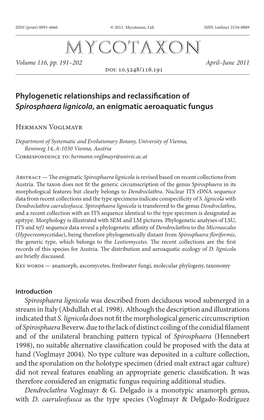 Phylogenetic Relationships and Reclassification Of