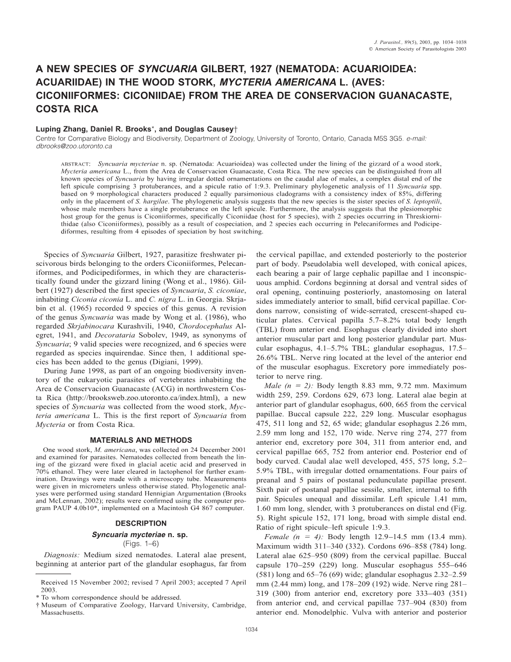 A New Species of Syncuaria Gilbert, 1927 (Nematoda: Acuarioidea: Acuariidae) in the Wood Stork, Mycteria Americana L