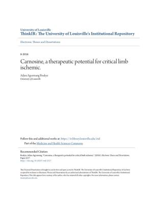 Carnosine, a Therapeutic Potential for Critical Limb Ischemic. Adjoa Agyemang Boakye University of Louisville