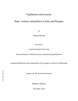 Vigilantism and Security