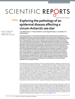 Exploring the Pathology of an Epidermal Disease Affecting a Circum-Antarctic Sea Star