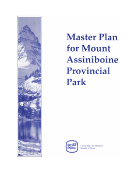 Current Approved Master Plan, 1989