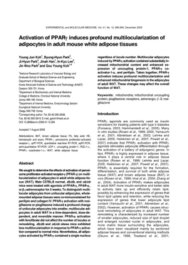 Activation of Pparγ Induces Profound Multilocularization of Adipocytes in Adult Mouse White Adipose Tissues