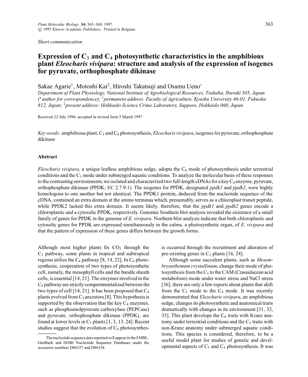 Expression of C3 and C4 Photosynthetic Characteristics in The