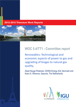 Technology and Economic Aspects of Power to Gas and Upgrading of Biogas to Natural Gas Quality