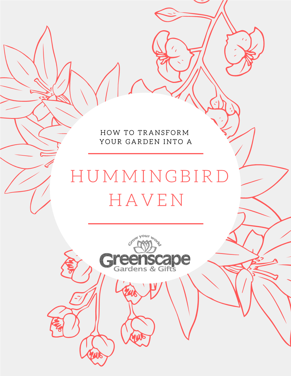 Hummingbird Haven