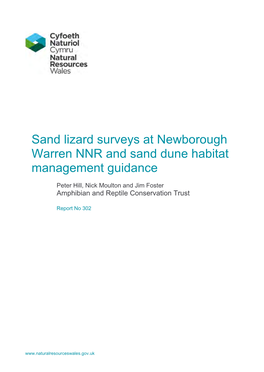 Sand Lizard Surveys at Newborough Warren NNR and Sand Dune Habitat Management Guidance