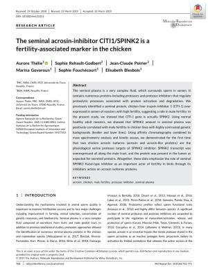 The Seminal Acrosin‐Inhibitor Clti1/SPINK2 Is a Fertility‐Associated Marker in the Chicken
