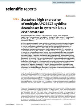 Sustained High Expression of Multiple APOBEC3 Cytidine Deaminases In
